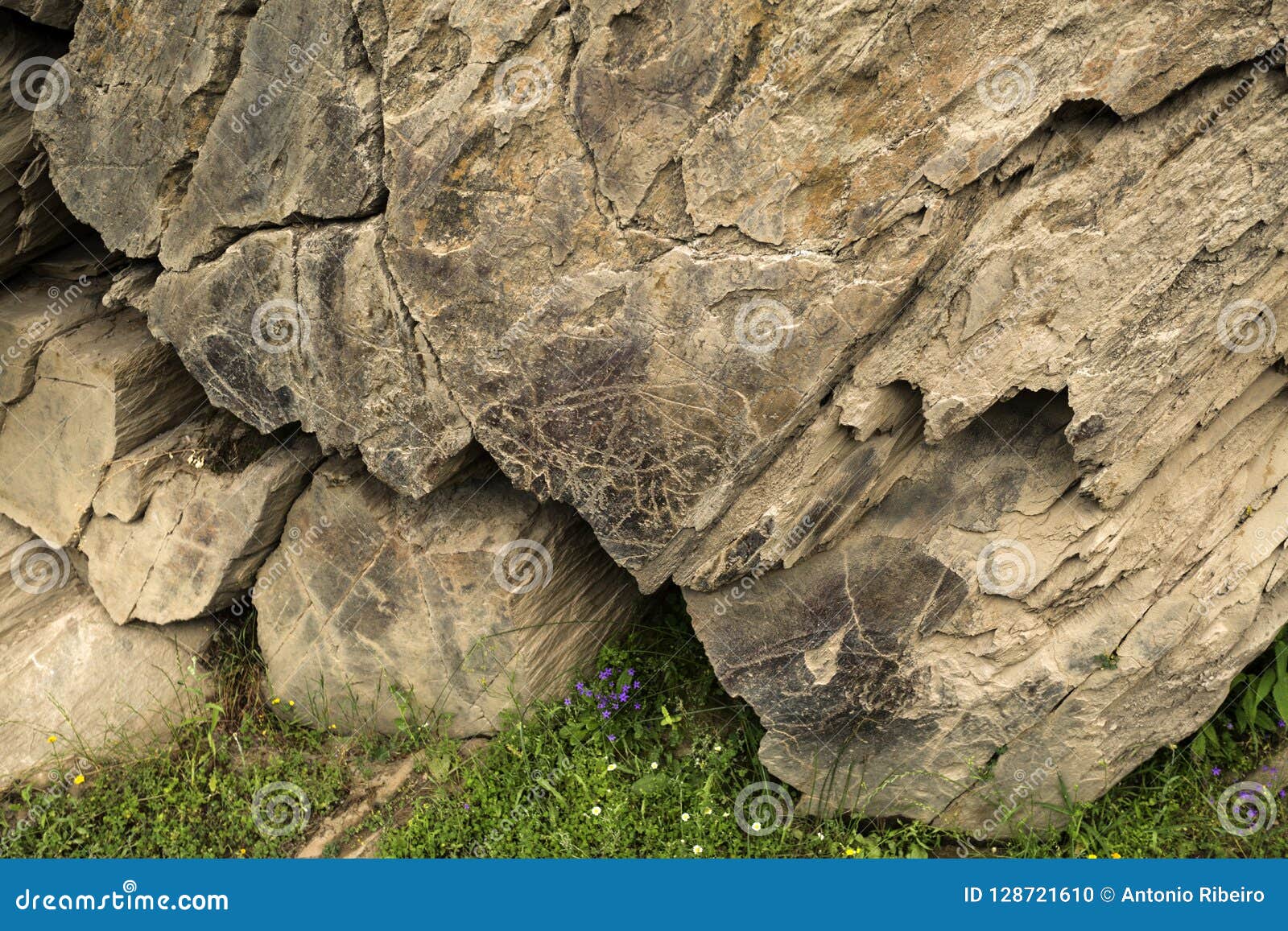 coa river Ã¢â¬â prehistoric rock engravings